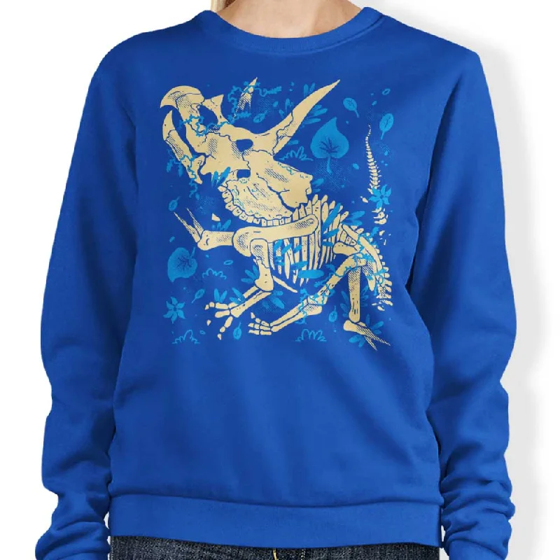 Sweatshirt / Blue / S